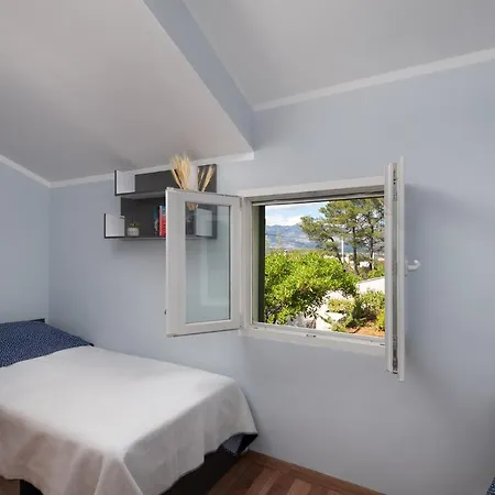 House Villa Novigrad (Dalmatia)